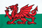 Ddraig Goch - Welsh Dragon